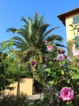 Clicca sulla foto per ingrandirla