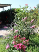 Clicca sulla foto per ingrandirla