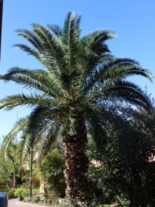 Clicca sulla foto per ingrandirla