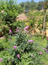 Clicca sulla foto per ingrandirla