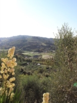 Clicca sulla foto per ingrandirla