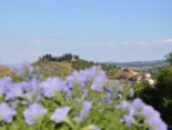 Clicca sulla foto per ingrandirla