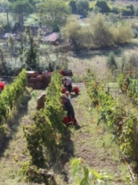 Clicca sulla foto per ingrandirla